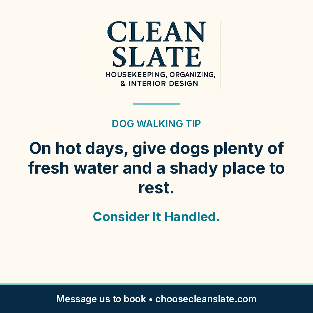 Clean Slate cleaning tip card: Dog walking